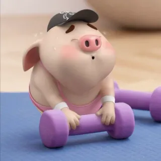 🐽 cochon, fitness, entraînement, haltères, exercice, dessin animé, mignon, sueur, porcelet telegram sticker