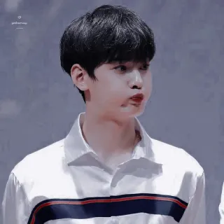 🦧 pria, potret, korea, penyanyi, idola, selebriti whatsapp sticker