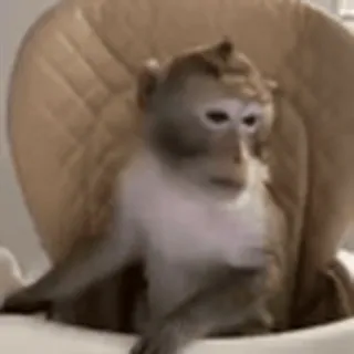 🤩