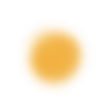 🟡