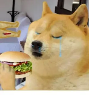 😳 Doge doge, hond, meme, burger, huilen telegram sticker
