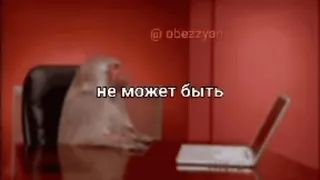 🌟 не может быть telegram sticker