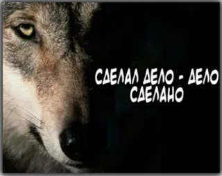 👍 СДЕЛАЛ ДЕЛО - ДЕЛО СДЕЛАНО wolf, tier, russisch, text telegram sticker