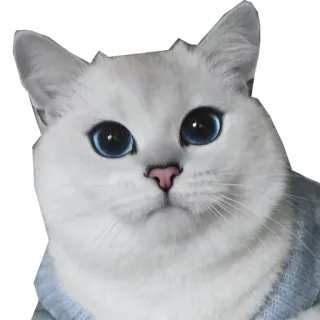 😊 kucing, binatang, imut, domestik, anak kucing, mamalia, hewan peliharaan telegram sticker