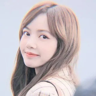 🌸 Lisa Лиса, K-pop, певица, женщина, портрет, знаменитость telegram sticker