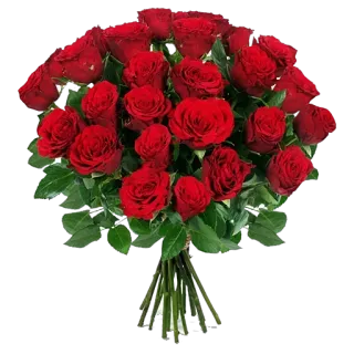 💐 fleurs, roses, bouquet, rouge, nature, cadeau, amour whatsapp sticker