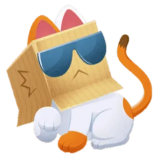 😎 gato, caixa, óculos de sol, legal, animal, desenho animado, adesivo whatsapp sticker