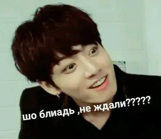 🌟 шо блядь, не ждали????? meme, funny, expression, kpop, surprise, celebrity, portrait telegram sticker