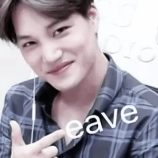 👋 Leave foglia, segno di pace, kpop, meme, coreano whatsapp sticker