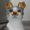 🐶