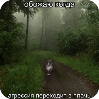😍 обожаю когда агрессия переходит в плачь 猫, 森, 道, ミーム, テキスト, 気分, 気持ち telegram sticker