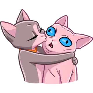 ❤️ gatto, sphynx, bacio, abbraccio, affetto, animale telegram sticker