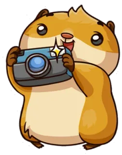 📷 Hamster, Tier, süß, Kamera, Fotografie telegram sticker