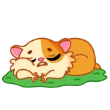 😴