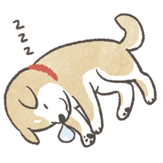 😴 강아지, 동물, 애완 동물, 졸린, 귀여운 telegram sticker