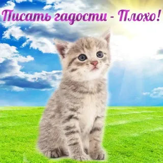 Больше стиков тут: @stikery4 telegram stickers