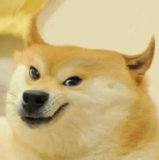 @BGstickers Free stickers doges haruka pack 4 telegram stickers