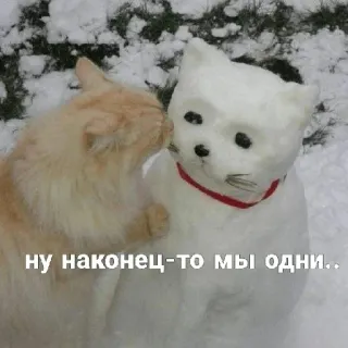 😏 ну наконец-то мы одни.. แมว, ตุ๊กตาหิมะ, หิมะ, ฤดูหนาว, น่ารัก telegram sticker
