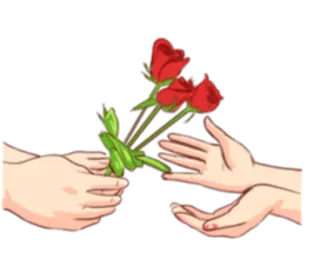 💐 rosas, flor, regalo, manos, ramo, amor, romance telegram sticker