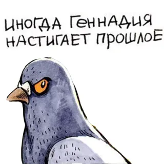 😔 ИНОГДА ГЕННАДИЯ НАСТИГАЕТ ПРОШЛОЕ pigeon, oiseau, dessin animé, animal, Gennadiy, passé whatsapp sticker