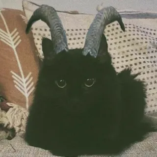 👿 Katze, Teufel, Hörner, schwarze Katze, Haustier, Tier telegram sticker
