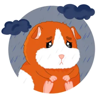 😞 モルモット, 悲しい, 雲, 雨, 動物, ステッカー, かわいい telegram sticker