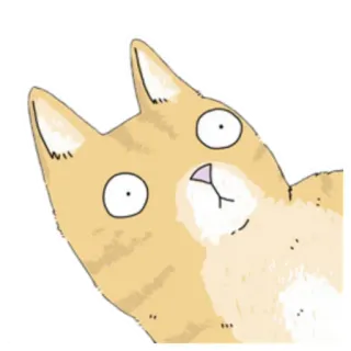 😐 gato, surpreso, engraçado, adesivo, gato laranja malhado, desenho animado telegram sticker