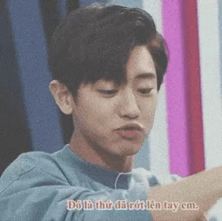 💿 Đó là thứ đã rớt lên tay em. telegram sticker