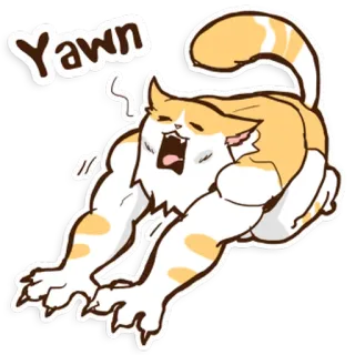 💤 Yawn gatto, sbadiglio, assonnato, animale, carino, cartone animato whatsapp sticker