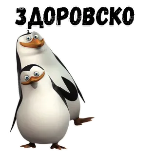 😄 ЗДОРОВСКО pingwin, kreskówka, powitanie, przyjazny, radosny telegram sticker