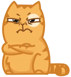 😖 cat, angry, orange, crossed arms, cartoon, animal telegram sticker