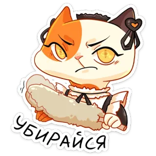 😡 УБИРАЙСЯ แมว, สาวใช้, ไม้ปัดฝุ่น, โกรธ, มีม, สติกเกอร์ telegram sticker