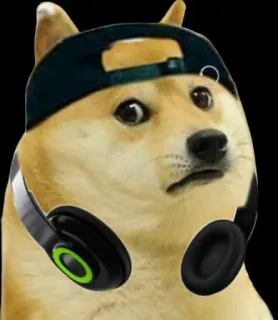 😔 doge, hond, meme, internet cultuur, koptelefoon, hoed telegram sticker