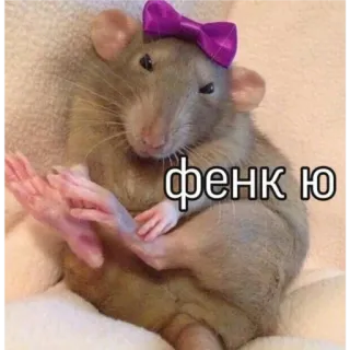 🙂 Фенк Ю крыса, животное, бант, милый, спасибо whatsapp sticker