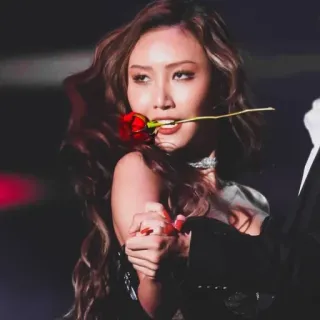 🖤 mujer, rosa, retrato, cantante, artista, celebridad telegram sticker