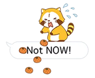 🍊 Not NOW! tanuki, animale, scocciato, frustrato, arancione, testo telegram sticker