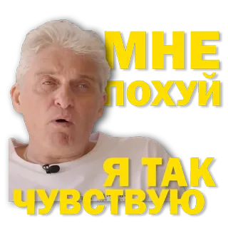 😎 МНЕ ПОХУЙ Я ТАК ЧУВСТВУЮ telegram sticker
