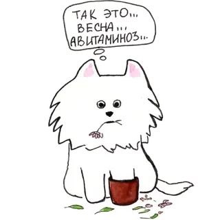 Самоедик Ачи telegram stickers