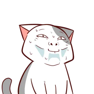 🥲 mèo, đổ mồ hôi, vui nhộn, meme, hoạt hình telegram sticker