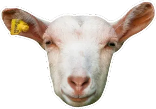 😊 animal, goat, farm, mammal telegram sticker