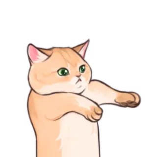 📏 แมว, ตลก, มีม, น่ารัก, สัตว์ telegram sticker