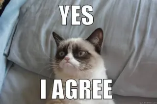 👍 Grumpy Cat YES I AGREE 暴躁猫, 表情包, 猫, 同意, 是的, 网络迷因 whatsapp sticker