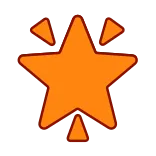 🌟