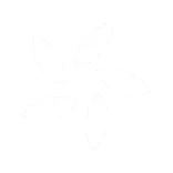 🌱