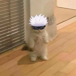 🥽 Gojo Satoru Jujutsu Kaisen gojo satoru, jujutsu kaisen, cat, anime, manga, funny, cute telegram sticker