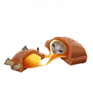 котики овощи коты фрукты telegram stickers