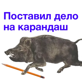 📌 Поставил дело на карандаш jabalí, lápiz, animal, ruso telegram sticker