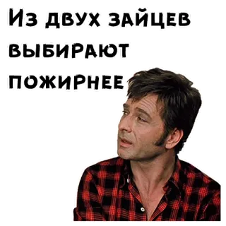 😏 Из двух зайцев выбирают пожирнее 러시아어, 명언, 인용구 telegram sticker