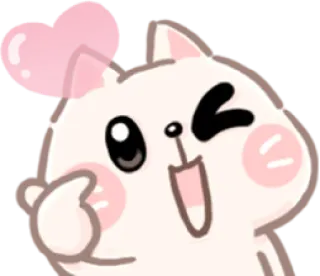 💗 Katze, Tier, süß, Stinkefinger, Aufkleber, Geste whatsapp sticker
