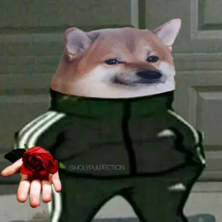 🌹 Doge 강아지, 밈, 장미, 츄리닝, 웃긴 telegram sticker